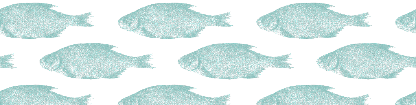 Pesce decorativo